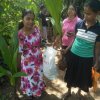 Coconut plant distribution program for the members of Kandanawatta Women's Work Organization (2023-06-16) 